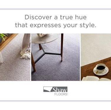 Discover a true hue that expresses your style - The Family Floor Store in Ellsworth, ME